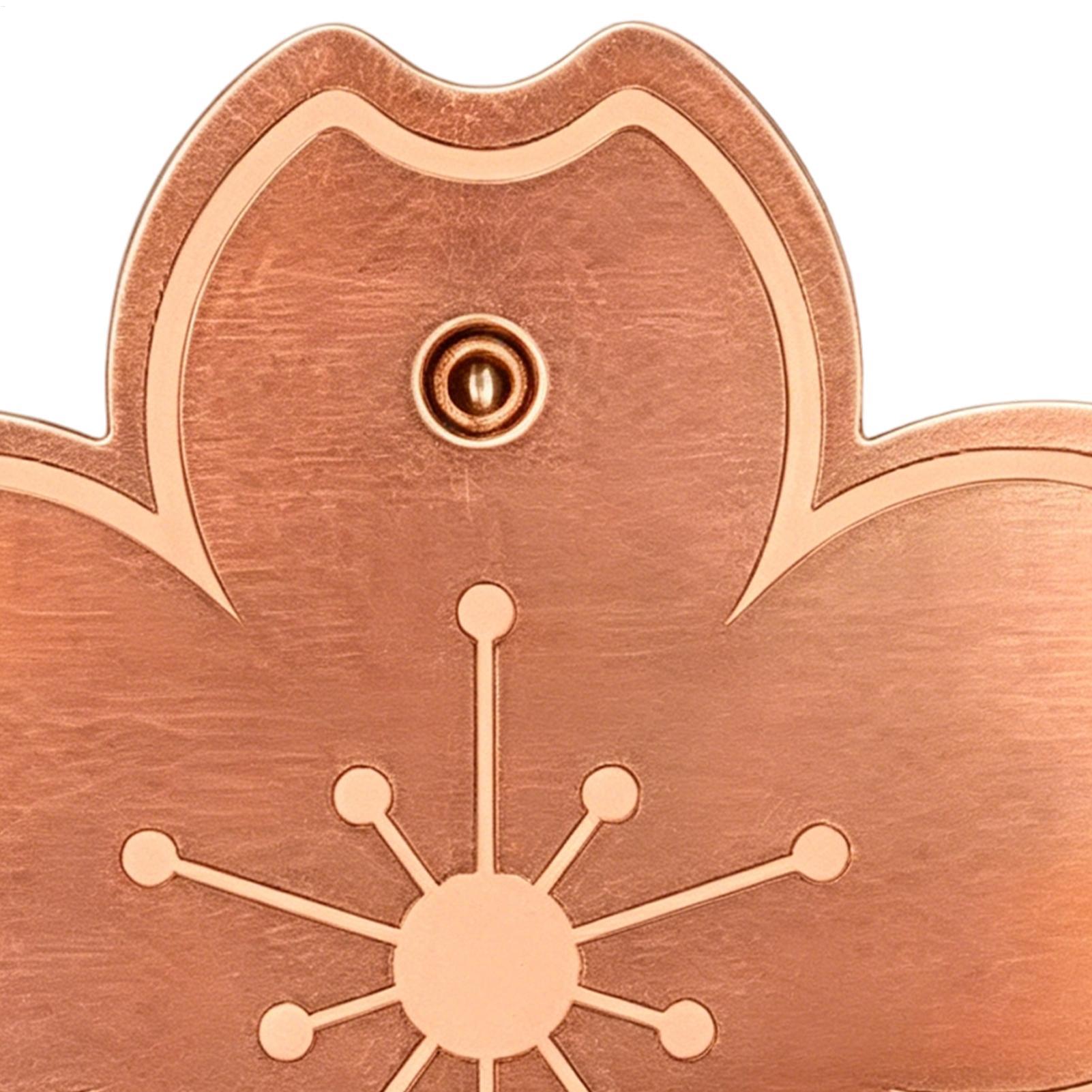 Placa de cobre purificadora se - Watch Es reseña y precio